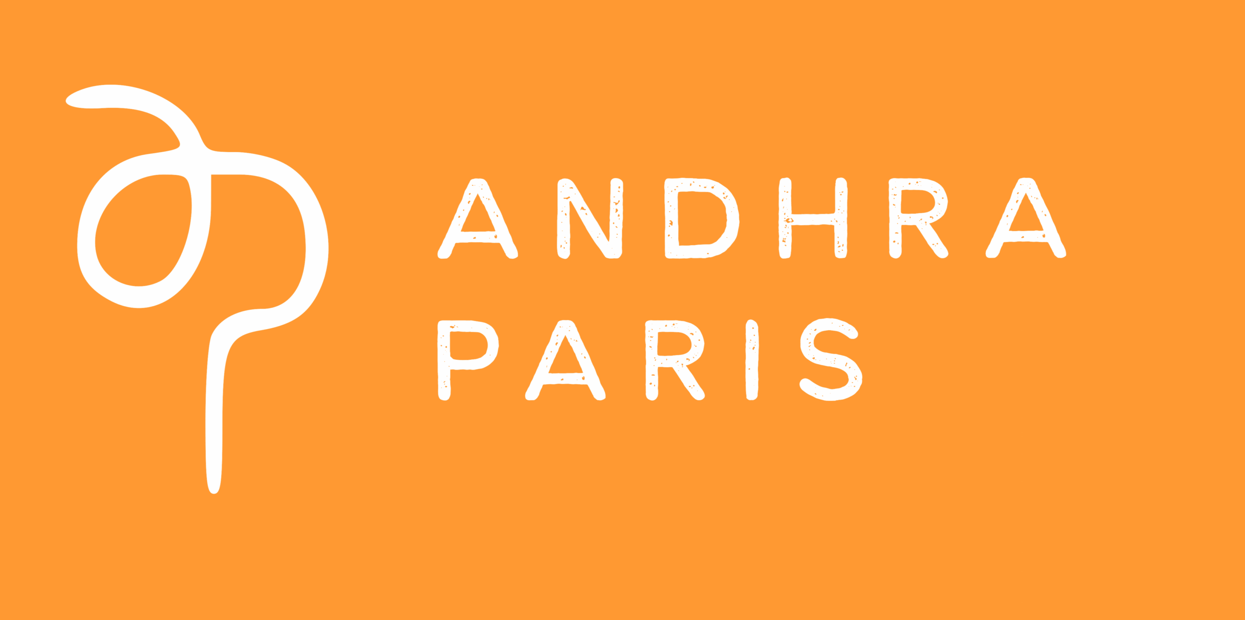 Andhra Paris